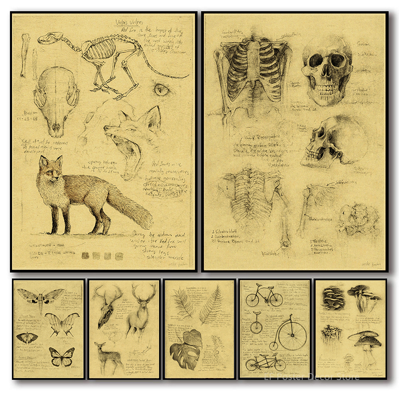 Old Sketch Studies Poster Vulp - Vintage Fashion Wallpaper review and price